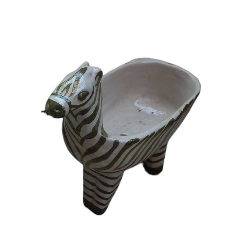 Zebra Dish