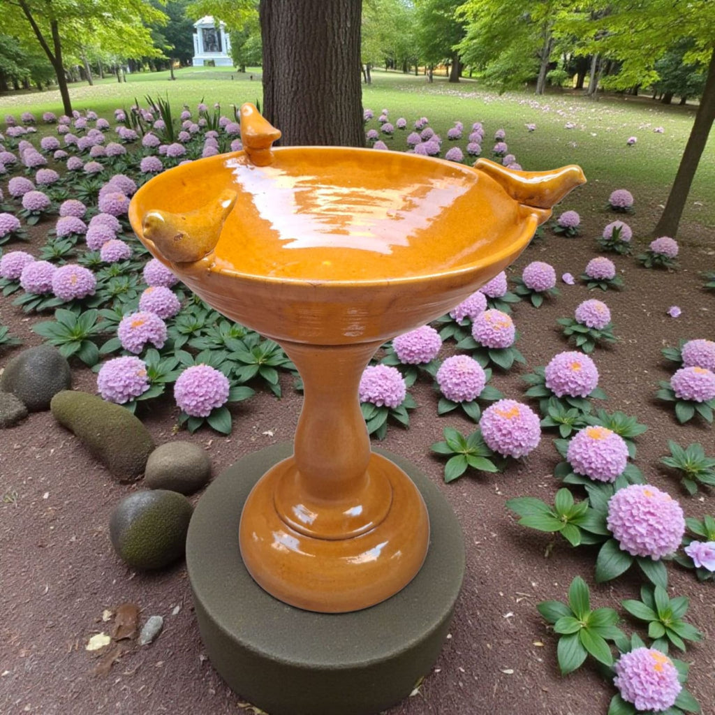 Yellow Birdbath